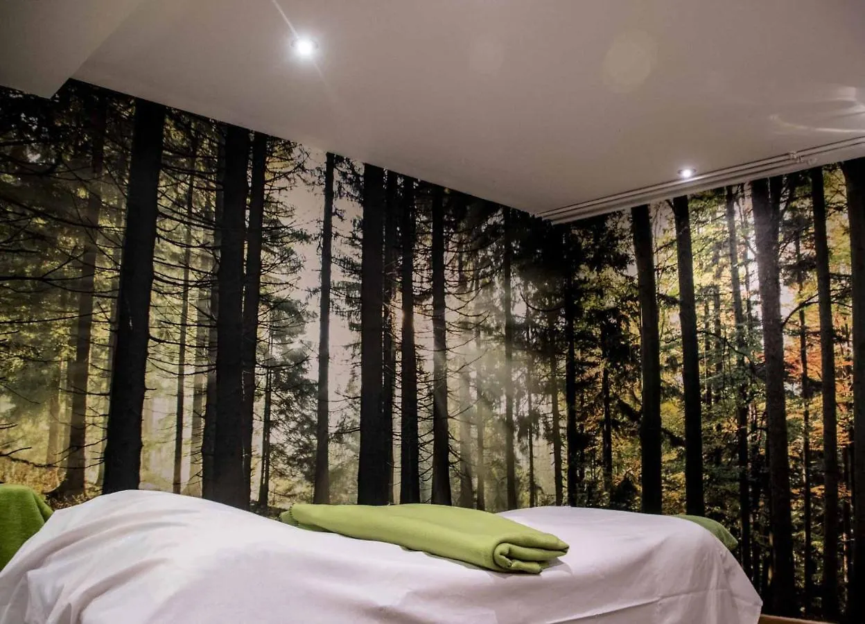 Hotel Mariandl - Singender Wirt Haibach  Germany